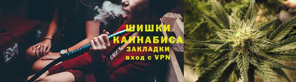 МДПВ Нефтегорск