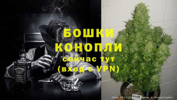 не бодяженный Надым