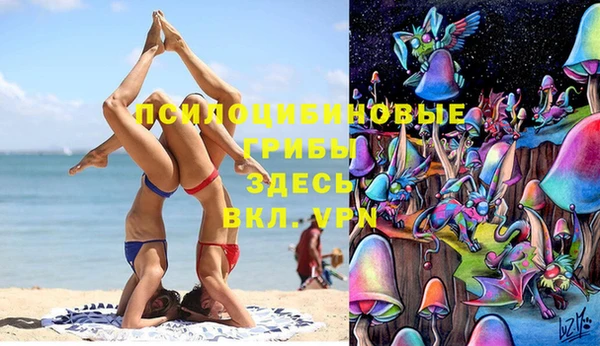 МДПВ Нефтегорск