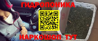 гидропоника Абакан
