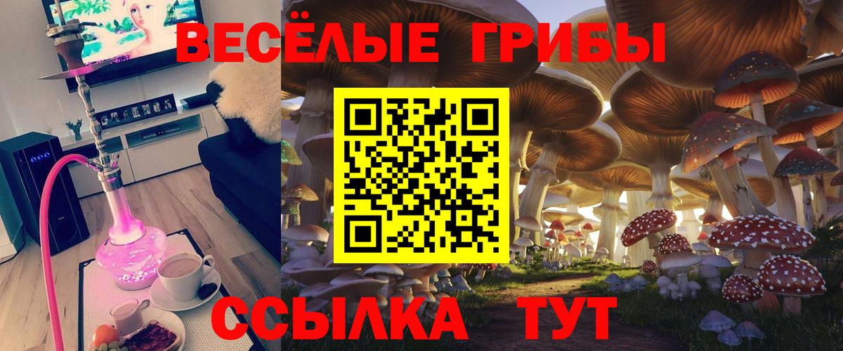 Alpha-PVP СОЛЬ кристаллы  Канабис  Меф   ТГК  Архангельск  LSD-25  Вход с VPN  Гашиш 
