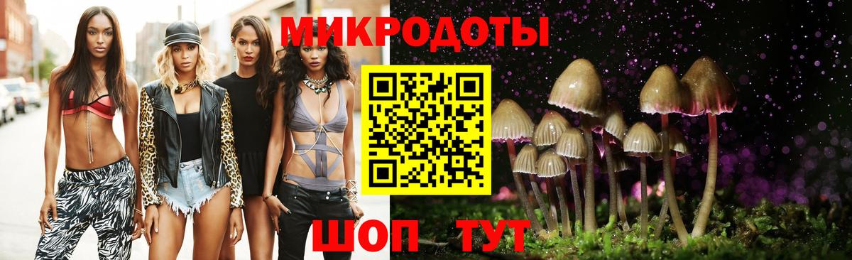 Галлюциногенные грибы MAGIC MUSHROOMS  Архангельск  Псилоцибиновые грибы Psilocybine cubensis 