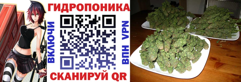 Шишки марихуана AK-47  Архангельск 